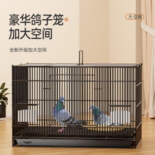 鸽子笼子家用养殖笼新型户外专用繁殖巢窝用具配对训放笼用品大全