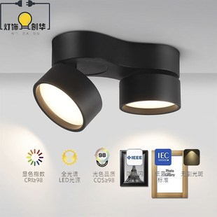 筒灯射灯全光谱免开孔双头斗胆灯防眩无主灯设计吸顶一体筒灯 明装