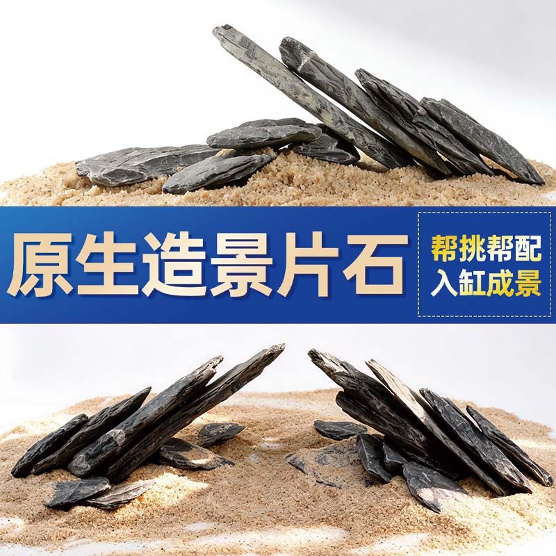 鱼缸造景石头青龙石原生溪流片石黑金石松皮石乌龟南美缸草缸装饰,宠物/宠物食品及用品,造景/装饰,淘宝优惠券,粉丝福利购,淘宝优惠卷