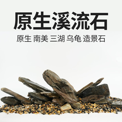 海洛伊原生溪流片石乌龟晒台