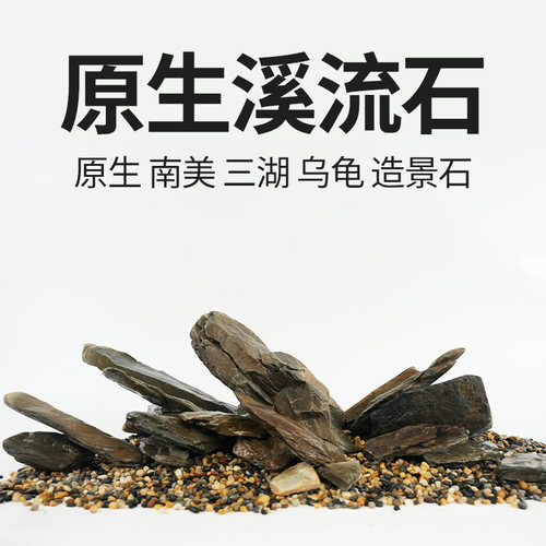 海洛伊原生溪流片石乌龟晒台