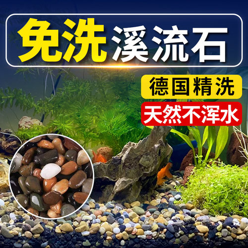 海洛伊原生溪流石免洗入缸成景