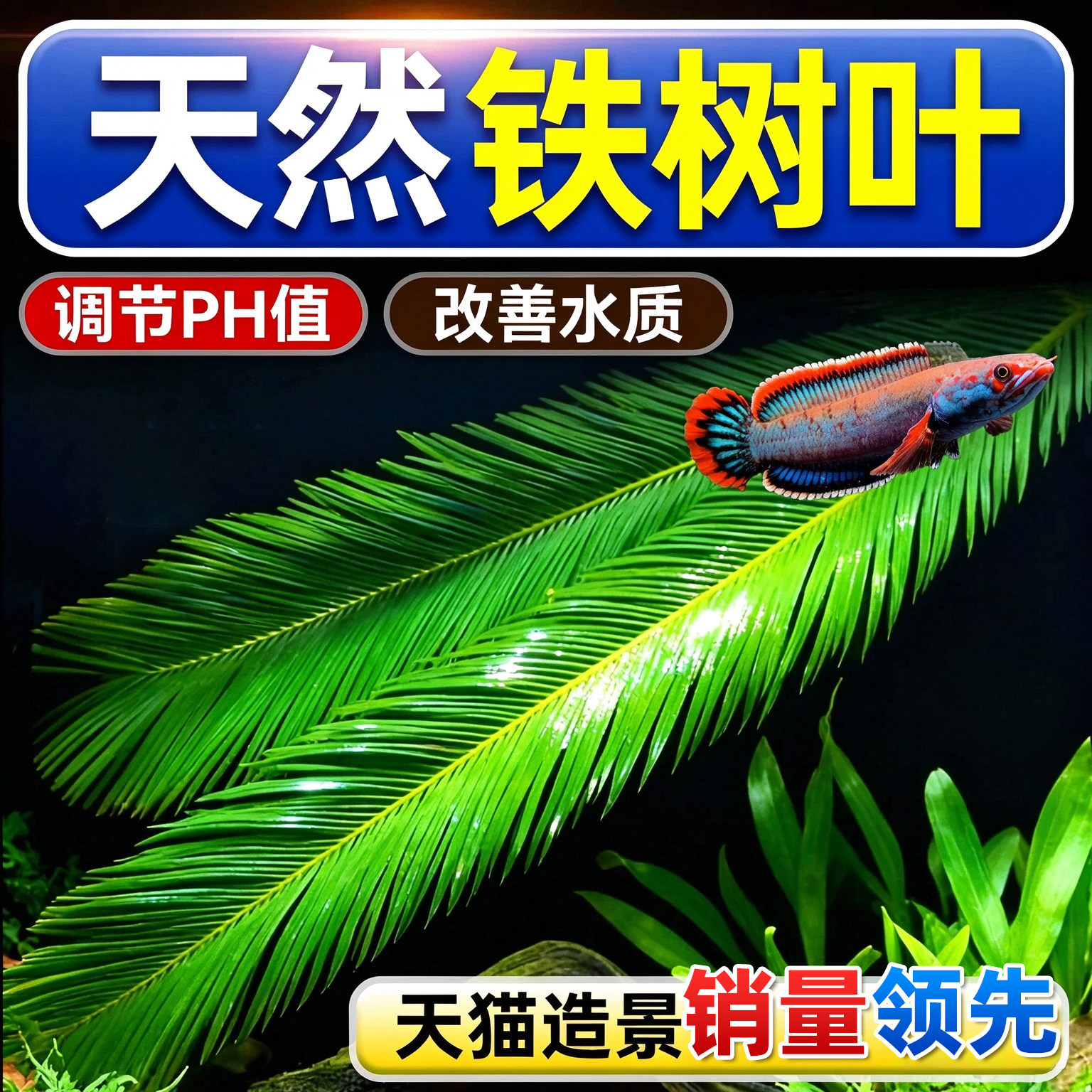 天然铁树叶沉叶鱼缸造景南美缸原生缸装饰树叶网红沉叶新鲜树叶