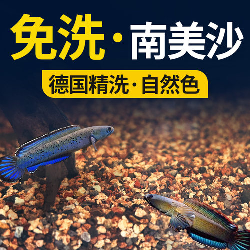 南美棕沙鱼缸造景底砂海洛伊