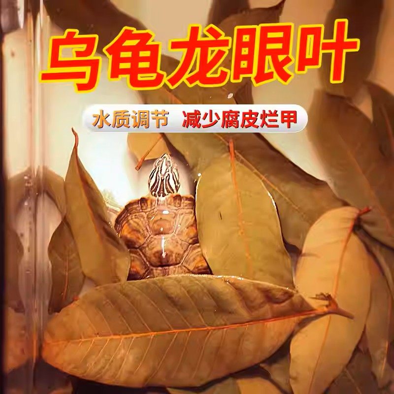 养龟免煮龙眼叶干腐皮烂甲调节水质乌龟躲避鱼缸龟缸生态植物造景,宠物/宠物食品及用品,造景/装饰,淘宝优惠券,粉丝福利购,淘宝优惠卷