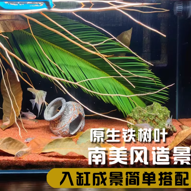 天然铁树叶沉叶鱼缸造景南美缸原生缸装饰树叶网红沉叶黄色树叶,宠物/宠物食品及用品,造景/装饰,淘宝优惠券,粉丝福利购,淘宝优惠卷