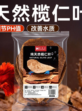 免煮天然榄仁叶斗鱼鱼缸ph调节剂酸碱度养龟龙眼叶套餐懒人叶造景