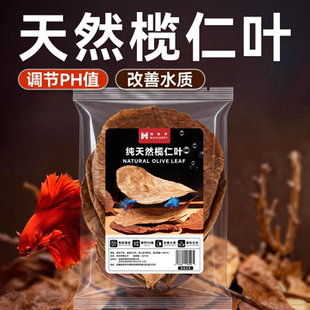 免煮天然榄仁叶斗鱼鱼缸ph调节剂酸碱度养龟龙眼叶套餐懒人叶造景