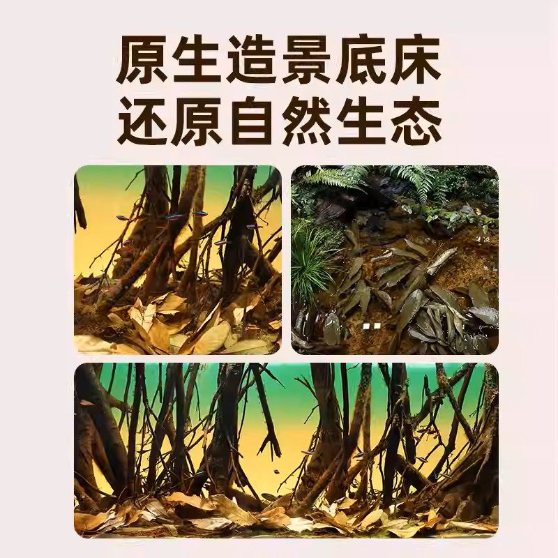 养龟免煮龙眼叶干腐皮烂甲调节水质乌龟躲避鱼缸龟缸生态植物造景,宠物/宠物食品及用品,造景/装饰,淘宝优惠券,粉丝福利购,淘宝优惠卷