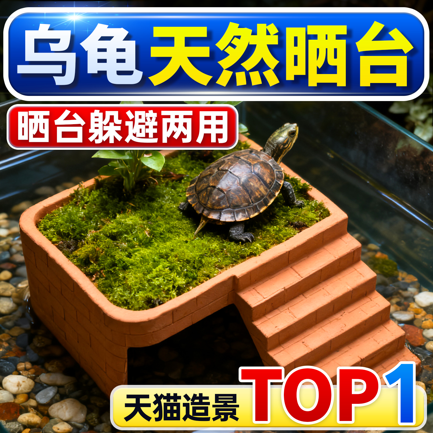 海洛伊乌龟爬台晒台躲避屋