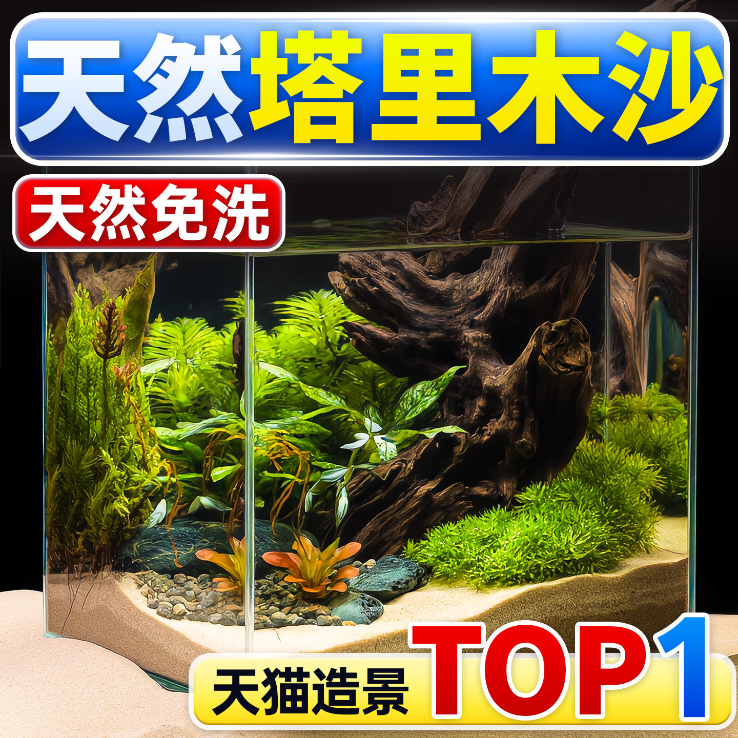 海洛伊沙漠沙爬虫乌龟仓鼠龟鱼缸