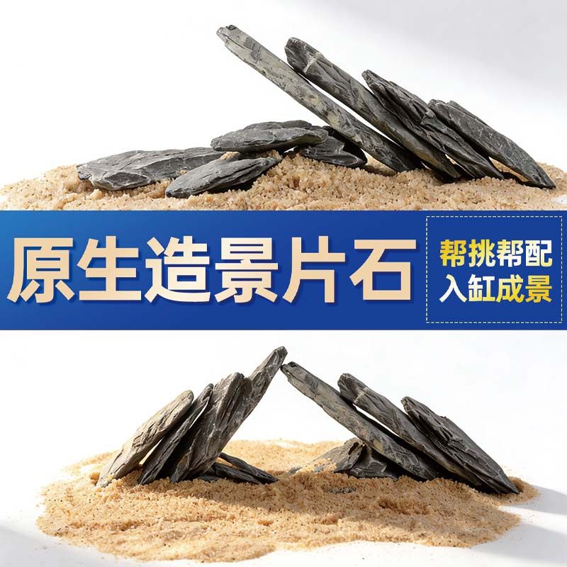 鱼缸造景石头青龙石原生溪流片石黑金石松皮石乌龟南美缸草缸装饰,宠物/宠物食品及用品,造景/装饰,淘宝优惠券,粉丝福利购,淘宝优惠卷