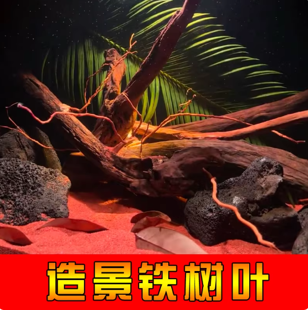 天然铁树叶沉叶鱼缸造景南美缸原生缸装饰树叶网红沉叶黄色树叶,宠物/宠物食品及用品,造景/装饰,淘宝优惠券,粉丝福利购,淘宝优惠卷