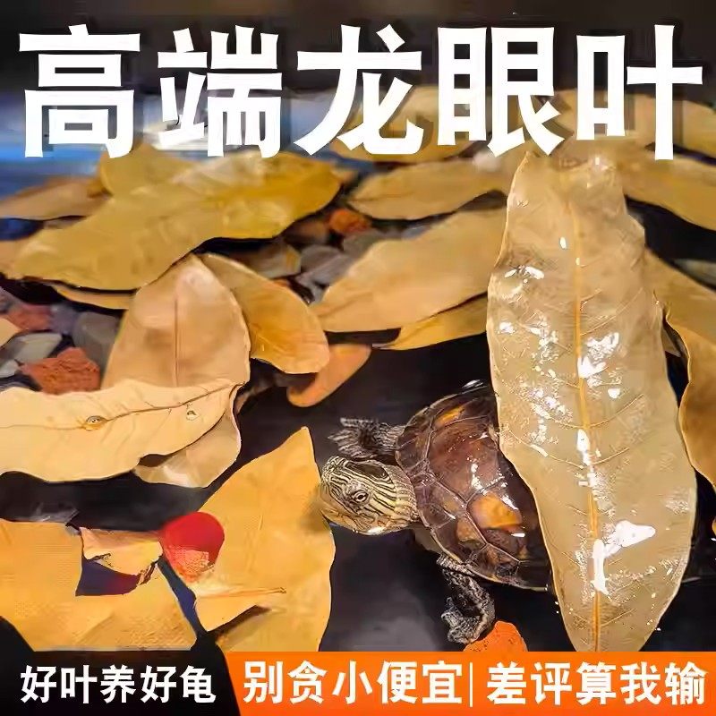养龟免煮龙眼叶干腐皮烂甲调节水质乌龟躲避鱼缸龟缸生态植物造景,宠物/宠物食品及用品,造景/装饰,淘宝优惠券,粉丝福利购,淘宝优惠卷