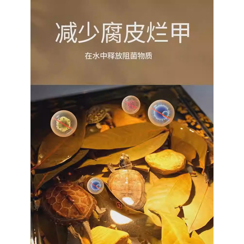 养龟免煮龙眼叶干腐皮烂甲调节水质乌龟躲避鱼缸龟缸生态植物造景,宠物/宠物食品及用品,造景/装饰,淘宝优惠券,粉丝福利购,淘宝优惠卷