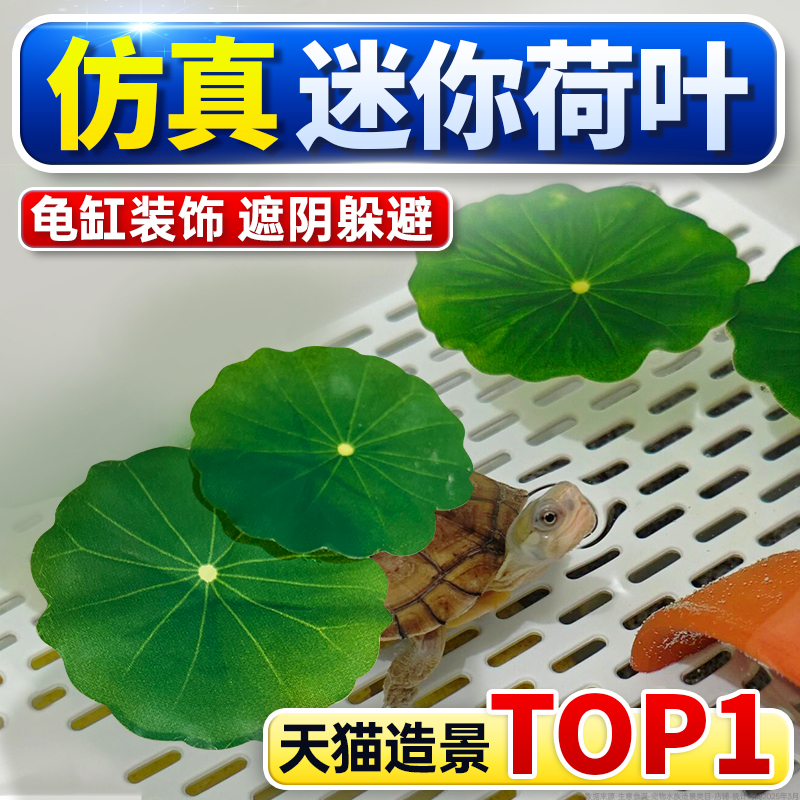 海洛伊仿真植物装饰造景摆件