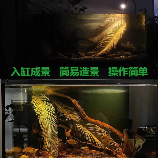 天然铁树叶沉叶鱼缸造景南美缸原生缸装饰树叶网红沉叶黄色树叶图片