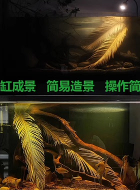 天然铁树叶沉叶鱼缸造景南美缸原生缸装饰树叶网红沉叶黄色树叶