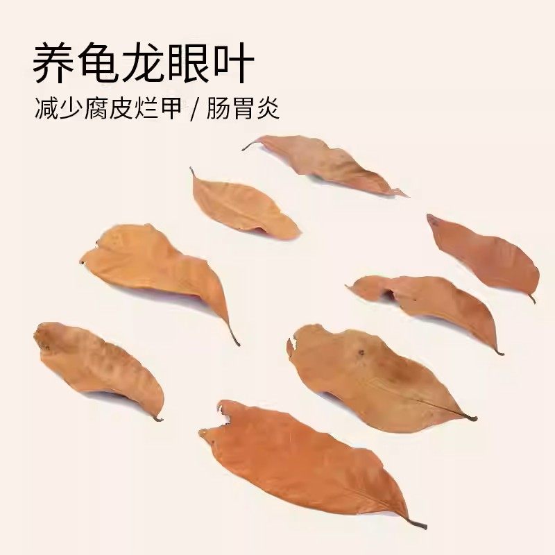 养龟免煮龙眼叶干腐皮烂甲调节水质乌龟躲避鱼缸龟缸生态植物造景,宠物/宠物食品及用品,造景/装饰,淘宝优惠券,粉丝福利购,淘宝优惠卷