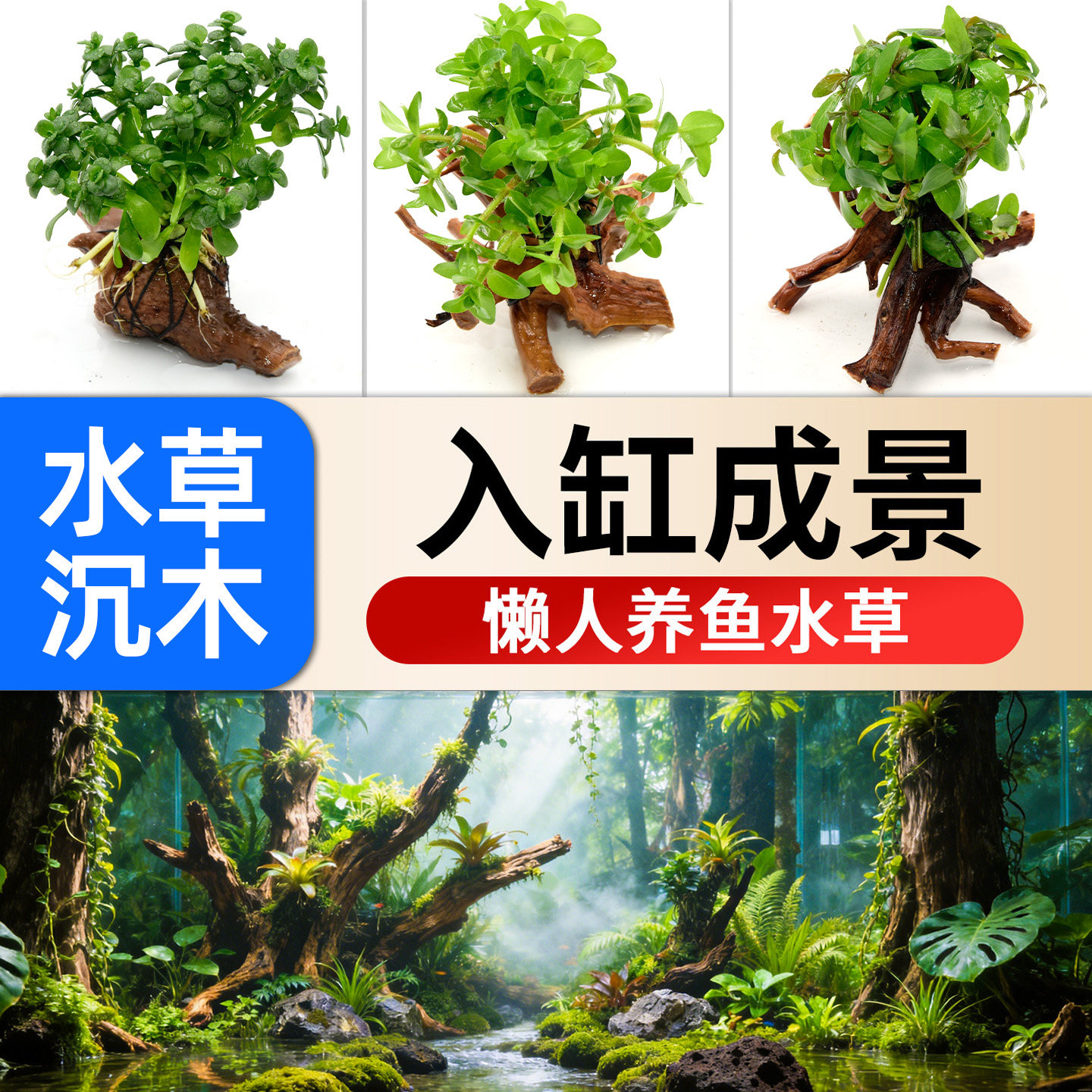 沉木水草鱼缸造景专用小水榕水培植物生态制氧懒人养鱼好养易活