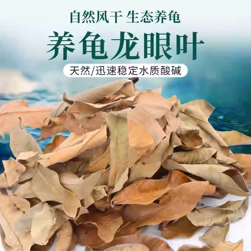 养龟免煮龙眼叶干腐皮烂甲调节水质乌龟躲避鱼缸龟缸生态植物造景,宠物/宠物食品及用品,造景/装饰,淘宝优惠券,粉丝福利购,淘宝优惠卷