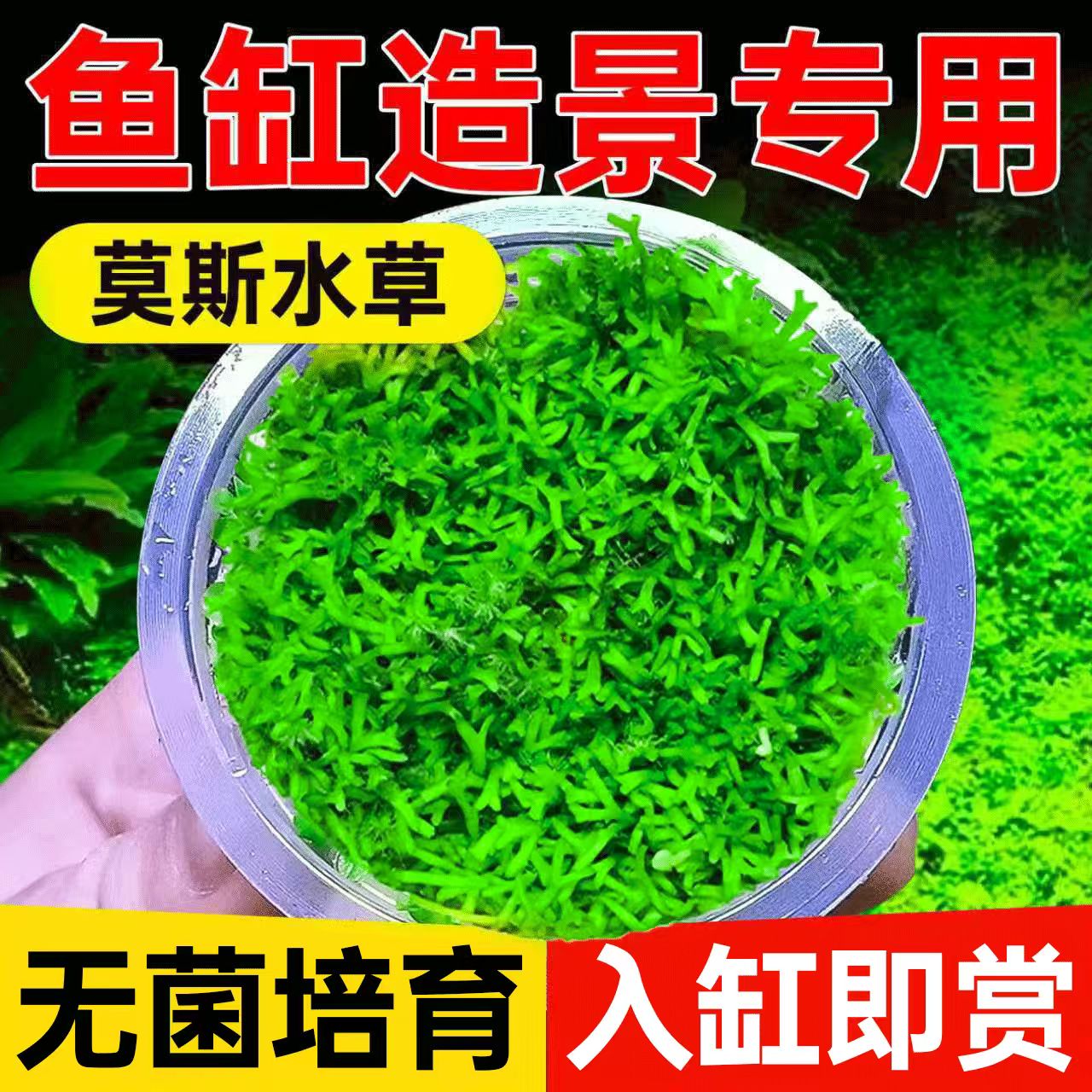 海洛伊鱼缸专用无菌杯