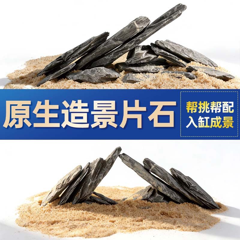 鱼缸造景石头青龙石原生溪流片石黑金石松皮石乌龟南美缸草缸装饰,宠物/宠物食品及用品,造景/装饰,淘宝优惠券,粉丝福利购,淘宝优惠卷