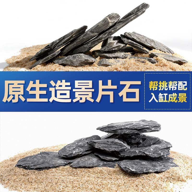 鱼缸造景石头青龙石原生溪流片石黑金石松皮石乌龟南美缸草缸装饰,宠物/宠物食品及用品,造景/装饰,淘宝优惠券,粉丝福利购,淘宝优惠卷