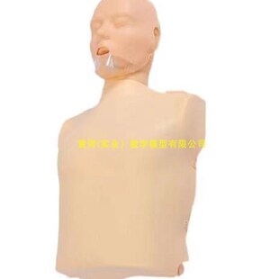 半身急救人体模型 急救训练模 半身心肺复苏模拟人 极速简易电子版
