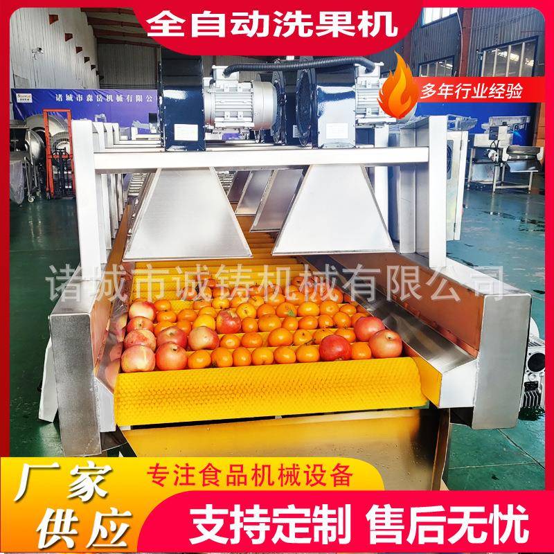 商用果蔬清洗风干打蜡线丑橘平行毛辊清洗机橙子毛刷清洗机设备