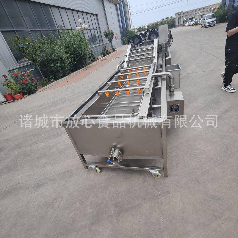 厂家供应全自动大姜清洗机大姜果脯果蔬清洗机多功能清洗机