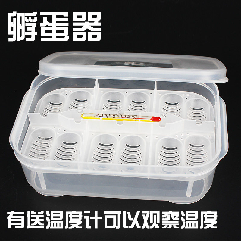 速发乌龟鸽孵子盒孵化器水龟蛋蜥蜴蛋蛇蛋鸟蛋蛋化蛋孵化箱繁殖产