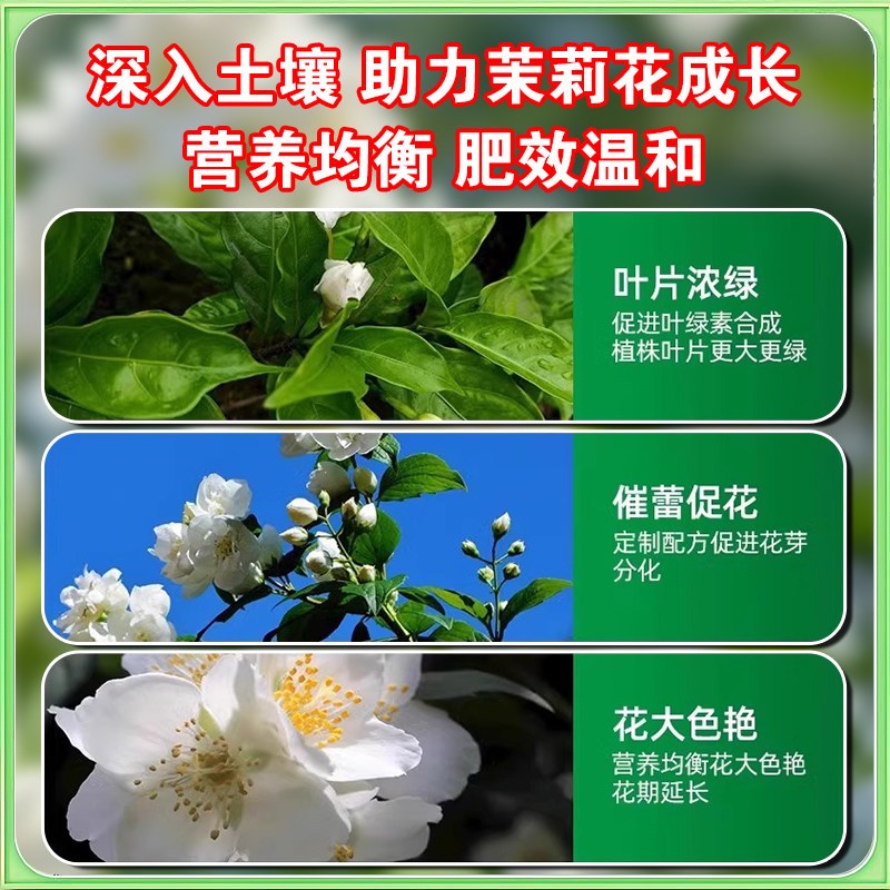 速发茉莉花专用营养液促开花壮根催芽防叶子发黄枯枝叶斑植物肥料