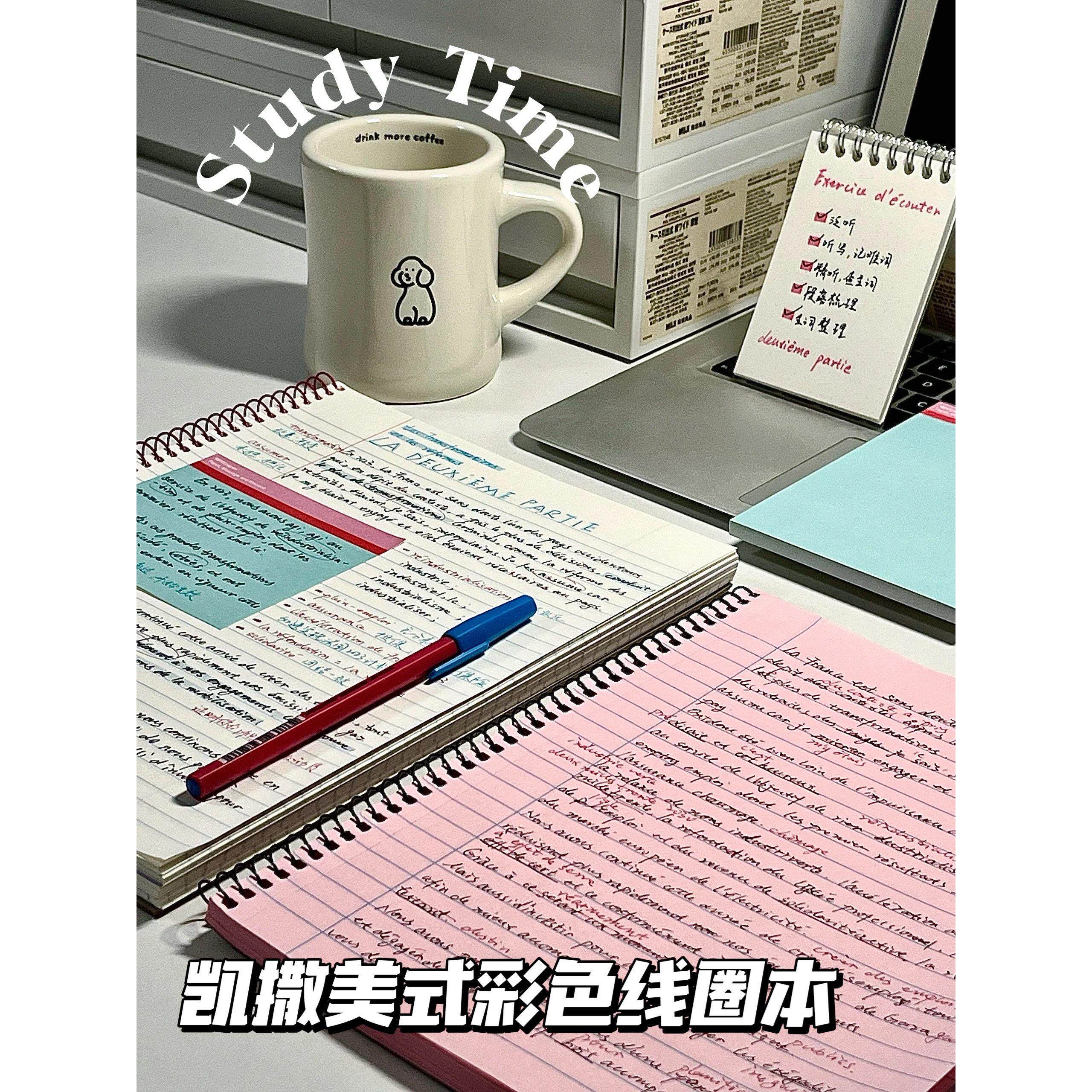 凯萨KAISAYUA原彩系列笔记本彩色横线内页线圈本分栏日记本手账本