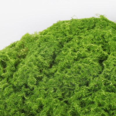 快速发货仿真苔藓植物造景青苔植绒摆件微景观软装人造.草皮草坪