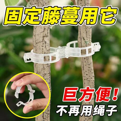 植物藤蔓固定卡扣支撑夹环