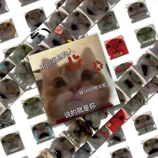 120张发疯猫猫头表情包贴纸搞笑搞怪猫咪头像趣味手账防水贴画