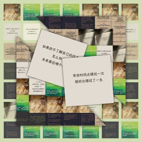 陶创创贴纸龙族语录贴纸