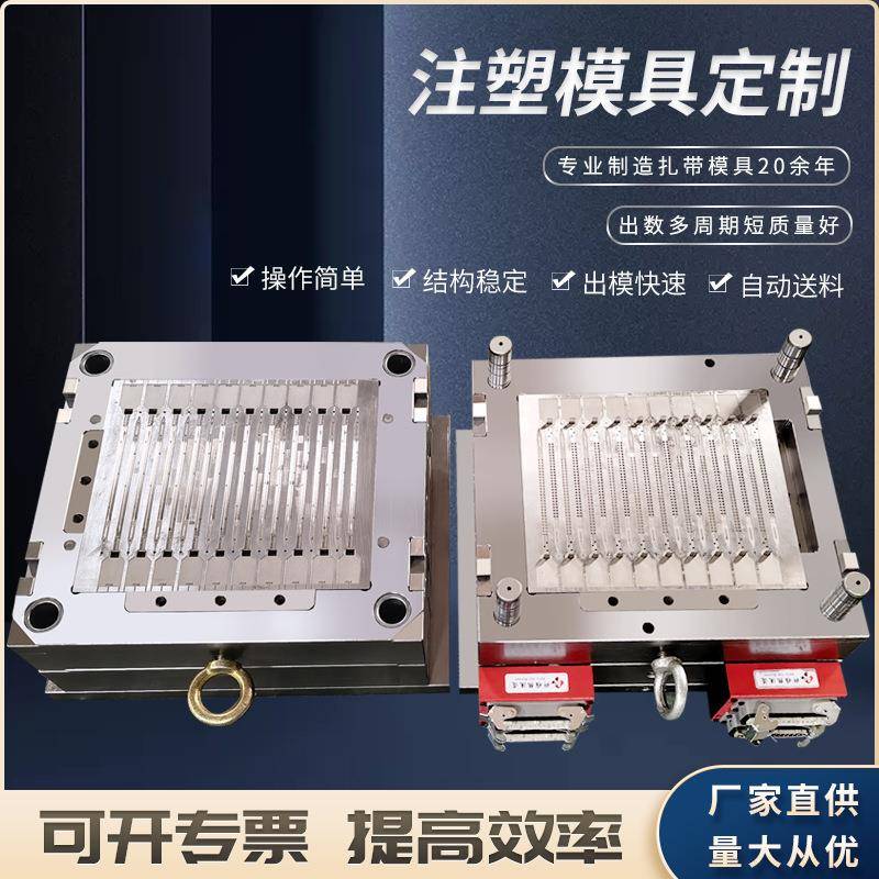 乐清博锐模具制造中心供应扎带模具4X37024腔尼龙扎带模具型号全