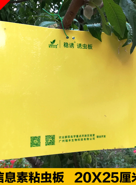 瑞丰双面信息素粘虫板黄色诱虫板果园菜地瓜果实蝇贴粘果苍蝇稳诱
