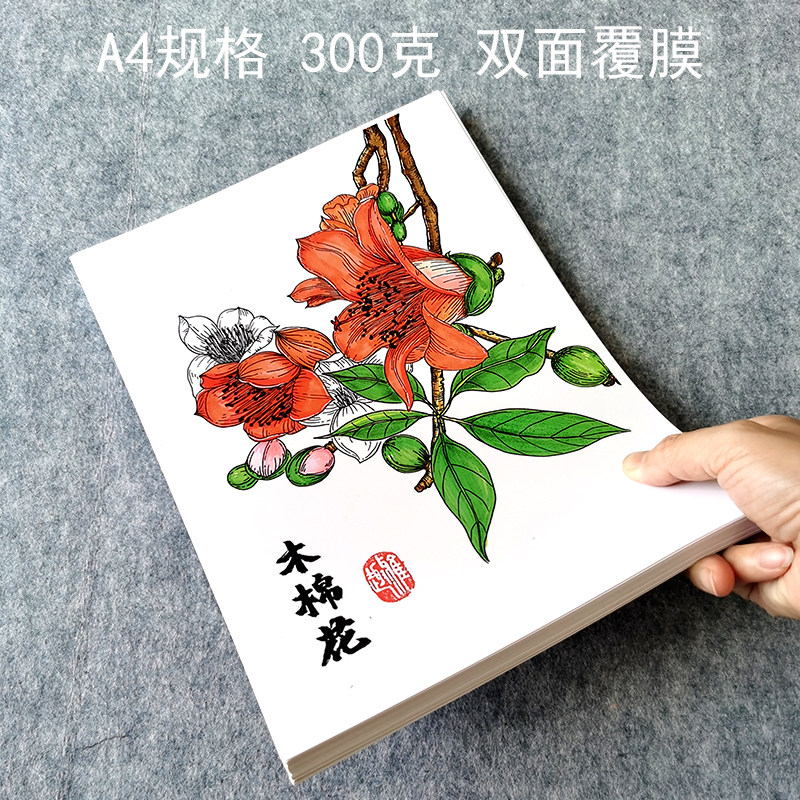 画室推荐【新款】幼儿彩色麦克笔植物花卉写生线描画美术临摹卡A4