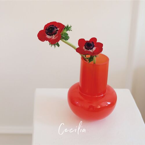 Cecilia 中古桃心红奶油白玻璃花瓶简约居家民宿客厅水养插花器皿