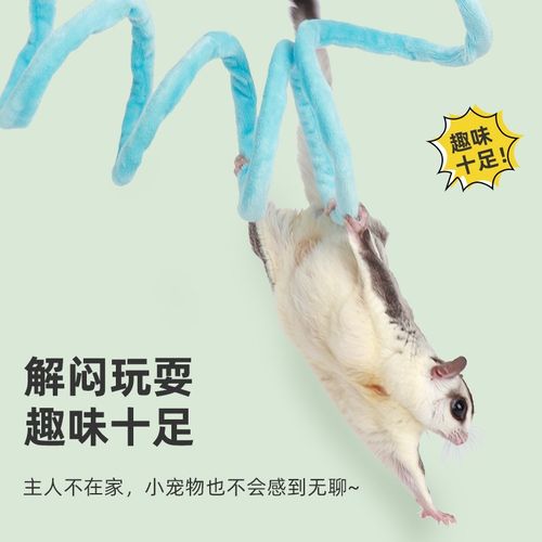 蜜袋鼬玩具弹力攀爬绳飞鼠吊绳悬挂站绳笼子装饰用品蜜袋鼯秋千