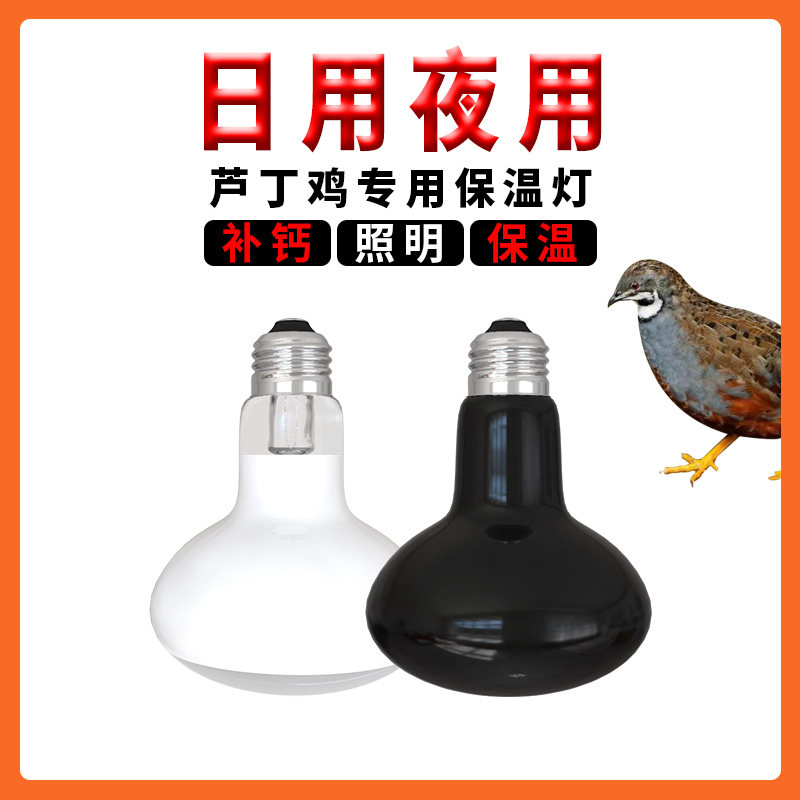 速发芦保鸡恒温灯自取智能温控器丁温灯动暖灯饲养箱灯加温加热育