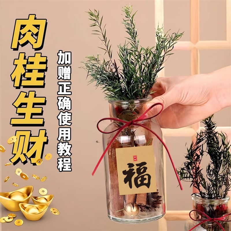 速发肉桂生财摆件招财玻璃瓶花瓶材料包客厅财神位工位办公室搬家