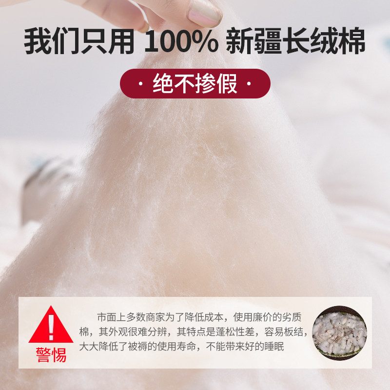 速发新疆棉花一级优质长绒棉花散装棉被填充物被芯枕芯填充棉坐垫
