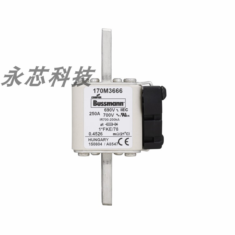 170M3666/170M3667 巴斯曼直流熔断器快速陶瓷低压熔断体保险丝