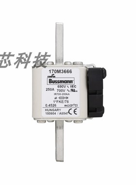 170M3666/170M3667 巴斯曼直流熔断器快速陶瓷低压熔断体保险丝