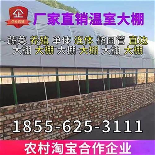 新品鹅大棚种植猪羊兔蔬st菜钢管热镀锌养殖钢架牛V棚W椭圆管定制
