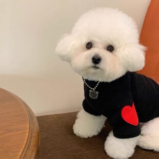 速发衣服猫咪背心泰风韩迪两熊秋冬毛衣针织保暖比脚马甲